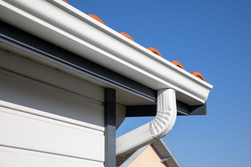 Box Gutter Repair