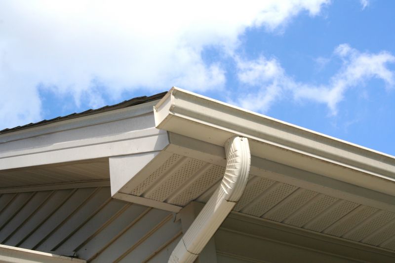 Box Gutter Repair