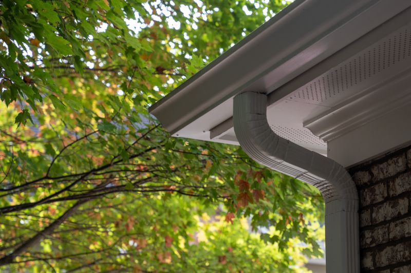 Extended Gutter Lifespan